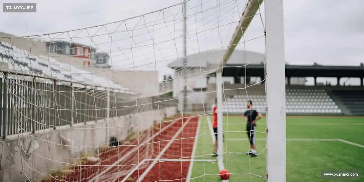 <strong>ued官网</strong>🌟踏上跑道，你就是自己的冠军，体育让热爱永不褪色！